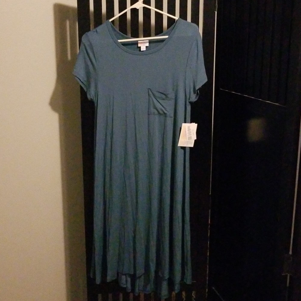BNWT lularoe carly dress